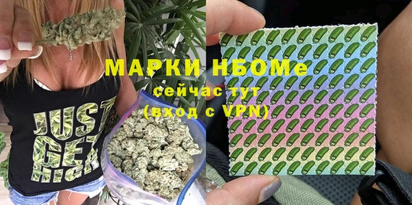 метадон Алексин
